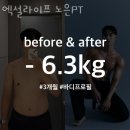 엑설라이프 | 대전헬스장 엑설라이프 노은PT 단체pt