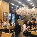 아비꼬 원주무실점 | 원주맛집 , 아비꼬 일본식카레 무실동맛집