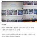 모스테틱