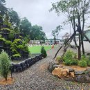 영동와인터널 주차장 화장실 이미지