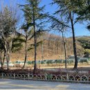 운암중학교 앞 이미지