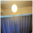 제주애견동반솔펜션 이미지