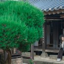 삼버들 협동조합 이미지