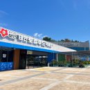 청포대수산 | 불꽃놀이가 가능한 청포대 해수욕장 앞 태안 파티파티펜션,해루질 무료와 근처 수산시장까지 완벽