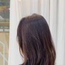 궁서채