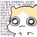 씀 Daum카페