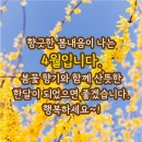 금오핫점핑