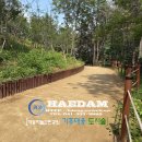 하늘 해담 이미지