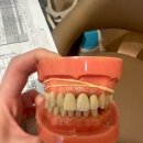 조호진 치과의원 이미지