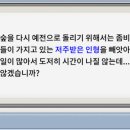 인형랜드 이미지