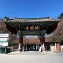 믿거나말거나박물관 | 아이와 경주여행 필수 코스, 대릉원 천마총, 불국사 다보탑 석가탑, 국립경주박물관