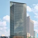 강남-246 이미지