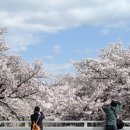 계절따라 이미지