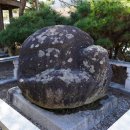 병산리 돌거북상 이미지