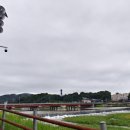 재난감시CCTV 이미지