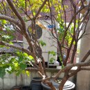 대화중앙로 이미지