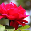 남부수자원생태공원 이미지