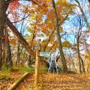 10월 18일 일요당일 -＜300명산/한국명수100＞- 인제 갈전곡봉+가칠봉+삼봉약수 단풍 신청안내(28인승/31인승 이미지