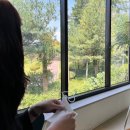 빛고을사랑약국 | 까페 플랜디 [광주 효천지구 힐링 뷰 까페]