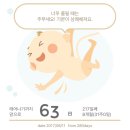 깻잎떡볶이치킨
