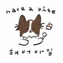해버바잍 네이버블로그