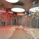 영인면 주민자치회관 이미지