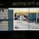 효성팜 디지털타임스