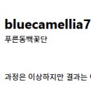 린치핀아시아