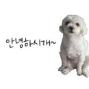 초코약국 이미지