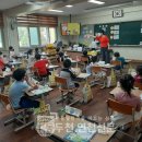 동보초등학교 병설유치원 네이버블로그