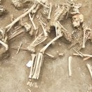 고은3리 이미지