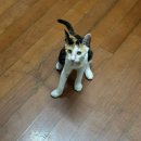 아름다운시절 | 내 가장 아름다운 시절 그 이름은 너야