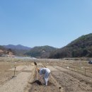 양수농장2 이미지