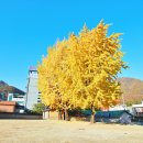 영월부관아 이미지