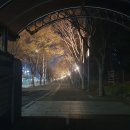 [대전 청년 공간 청춘두두두] 플라워 클래스 후기