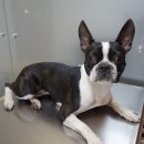 부민약국 이미지