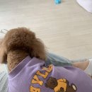 뭉이네부엌