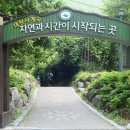 607차 지리산 대원사 계곡 트레킹 (26.8.1) 이미지