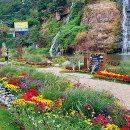 별,바람,꽃길 이미지