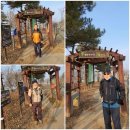 고랑포길 이미지