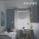 모모스테이