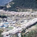 삼랑진발전처 이미지