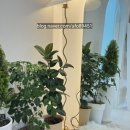 화홍초교 | 화서역다이어트 스무살에머물다 수원스타필드점에서 누워서 체지방 2kg 뺐어요.