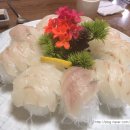 돌고래회수산 이미지