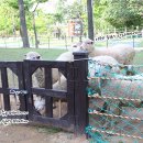 어룡목장 이미지