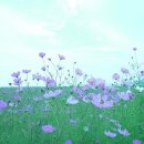 정다운노인복지센터 이미지