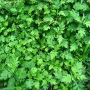 포시즌필라테스 이미지