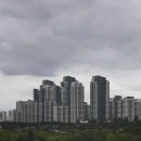 세계로공인중개사사무소 이미지