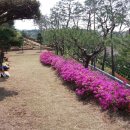 로뎀목장 이미지