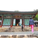 도림사 이미지